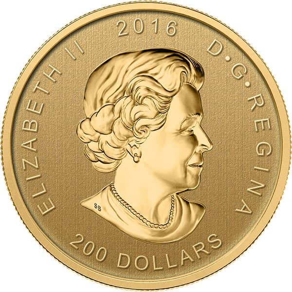 Canadian Roaring Grizzly  - 1 Troy Oz. .99999 Pure Gold thumbnail