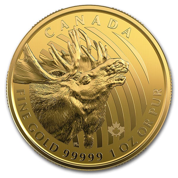 2019 RCM Call of the Wild Moose - 1 Troy Oz .99999 Gold