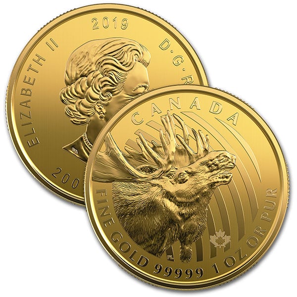 2019 RCM Call of the Wild Moose - 1 Troy Oz .99999 Gold