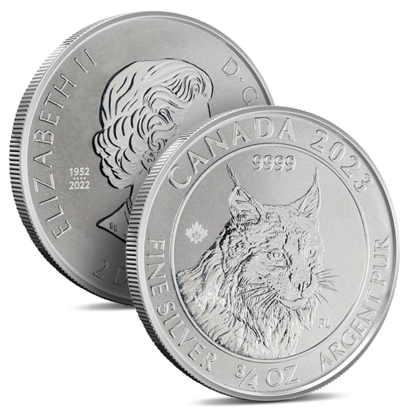 ⭐️セール ブリザード灰色【公式】Soul of Siberiaソウルオブシベリア