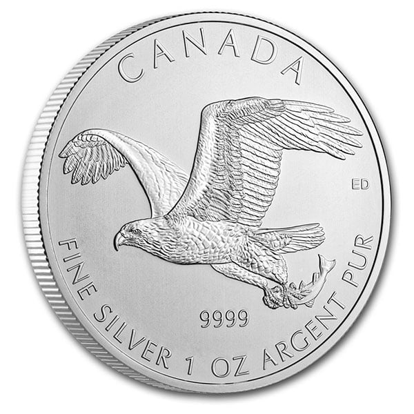 Canadian "Birds of Prey" Series - 1 Oz Silver Bald Eagle