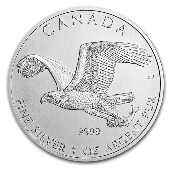 Canadian "Birds of Prey" Series - 1 Oz Silver Bald Eagle