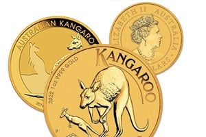Buy Gold Kangaroos