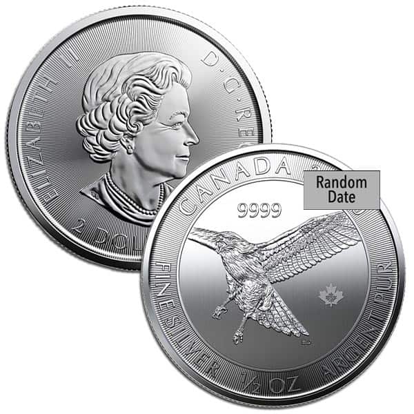 1/2 Oz RCM Birds of Prey - Red Tailed Hawk Coins - Money Metals