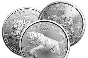 Buy Silver Predator Series