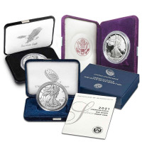 RANDOM Date Proof Platinum American Eagle - 1 Troy Oz .9995 Pure