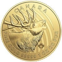 RCM Call of the Wild Elk - 1 Troy Oz .99999 Gold