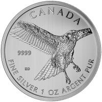 Canadian Birds of Prey - "Red-Tailed" Hawk, 1 Oz
