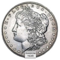 Pre-1921 Morgan Dollar - Almost Uncirculated (AU) 90% Silver
