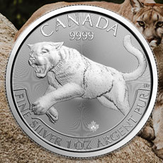 2016 Silver Predator Coins - Cougar