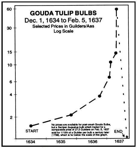 Tulip Bulbs Bubble