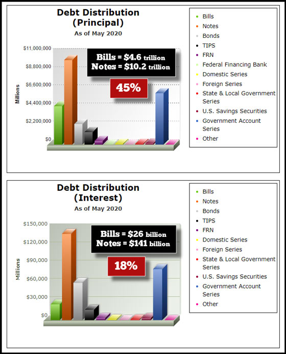 U.S. Public Debt Distribution vs Interest Expense May 2020