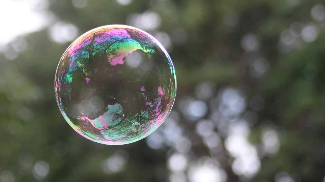 Who Pumped Up This Bubble Economy?