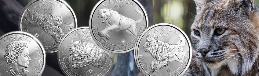 Silver Canadian Predator Series Coins