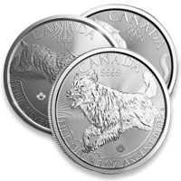 Buy Silver Predator Series