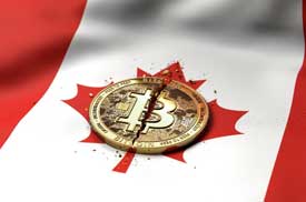 Crypto Collapse Canada