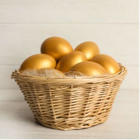 Eggs in One Basket