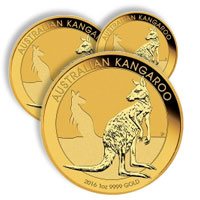Buy Gold Kangaroos