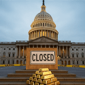 Gold: Its Not Just for the Government Shutdown!
