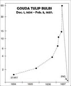 Goulda tulip bulbs