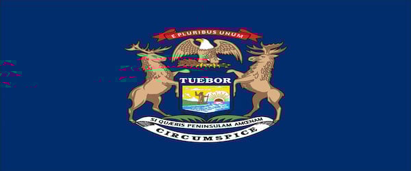 Bullion Laws in Michigan