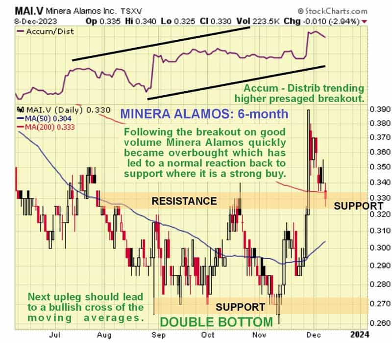 Minera Alamos (6 Month Chart)