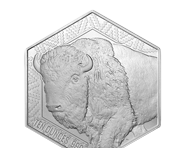 10 Oz Silver Bar (Hexagon Buffalo Warrior) | Shop Now >
