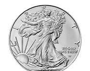 1 Oz American Silver Eagles (2024) | Shop Now 