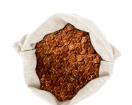 Copper Pennies | Shop Now 