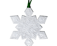 1/2 Oz Silver SnowFlake | Shop Now >
