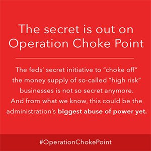 Image result for operation choke point guns