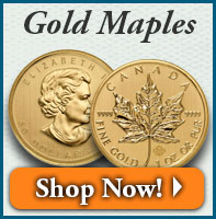 Gold Maples