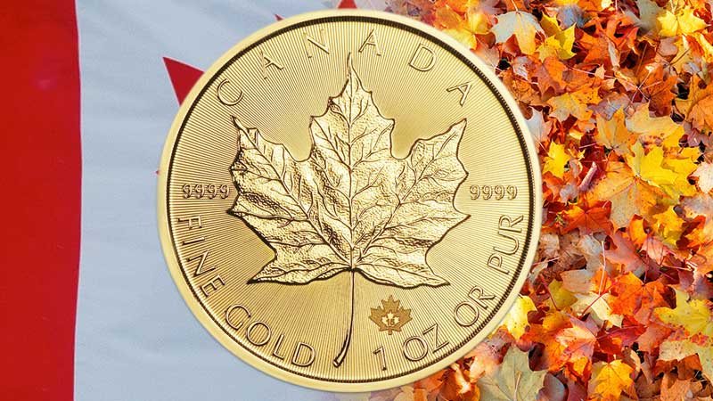 Buy Canadian Gold Maple Leaf coins from Money Metals. Invest in the highest purity gold coins backed by the Canadian government. Secure your wealth with these highly sought-after coins. Shop now and add precious metals to your investment portfolio.