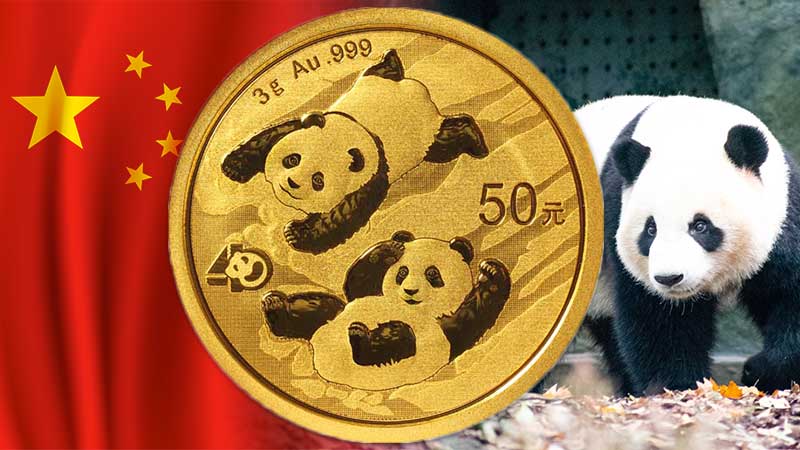 The Golden Panda is one of the most popular bullion coins in the world and China’s first gold coin. It’s been around since the early 1980s and has gone through many changes over the past 3 decades.