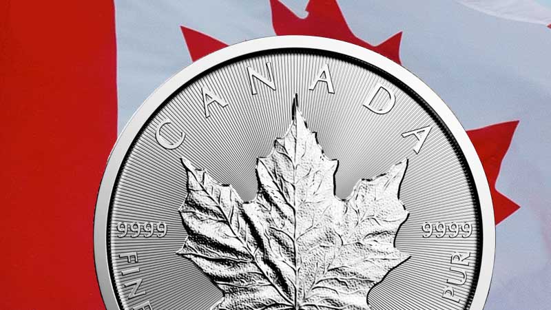From the Iconic Maple Leaf to the “Wildlife Series,” Coins from the RCM Offer Some of the Most Reasonable Premiums of Any Government Issue Bullion. Shop Now...