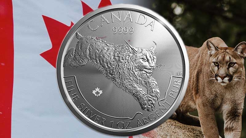 Buy Silver Canadian Predator Series Coins from Money Metals Exchange. Order Securely Online or Call (800) 800-1865